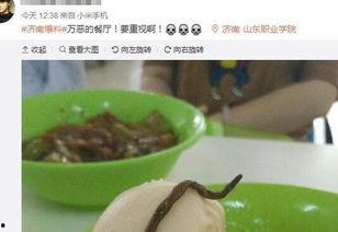 最新新康饭菜爆料图片,最新爆料图片曝光，美味与营养并存！”  第2张